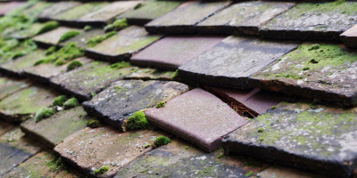 Battlesden roof repair costs